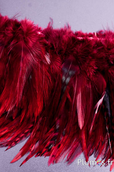 Frange coq chin roux - long. plumes 10-15 cm - bordeaux